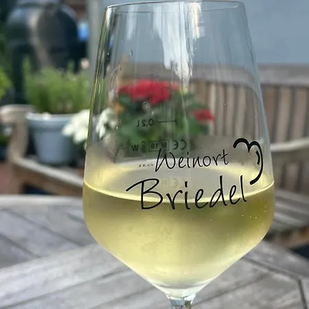 Meijer Briedel