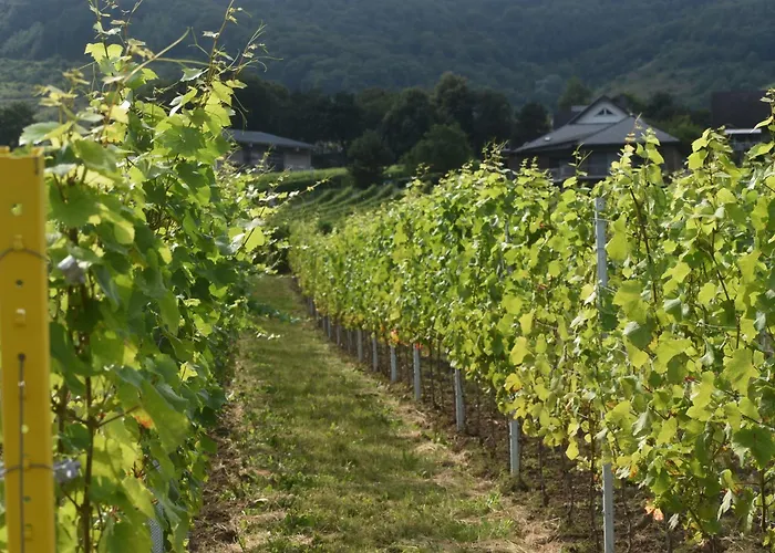 Apartamento Meijer Briedel